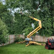 Best Tree Preservation Services  in Etna, PA