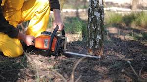 Best Tree Removal Service  in Etna, PA